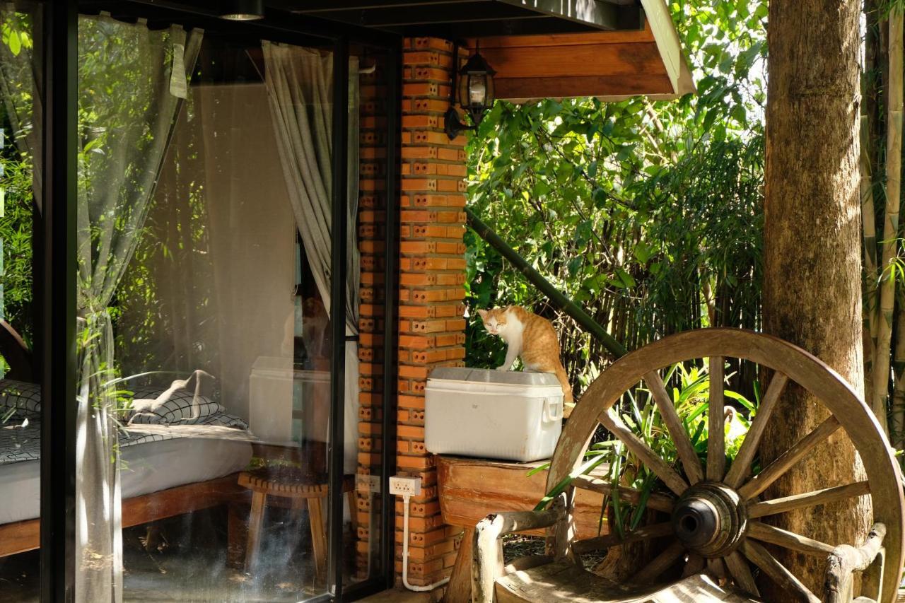 Ashi Guesthouse Chiangdao Chiang Dao Luaran gambar